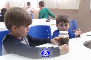 Alunos do 1º ano realizam atividades no Laboratório de Ciências
