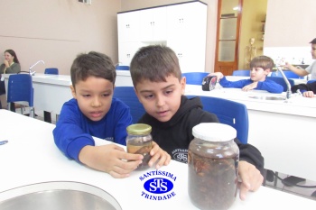Alunos do 1º ano realizam atividades no Laboratório de Ciências
