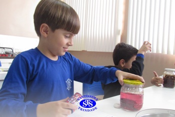 Alunos do 1º ano realizam atividades no Laboratório de Ciências
