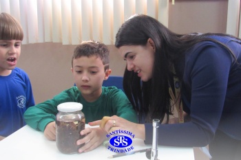 Alunos do 1º ano realizam atividades no Laboratório de Ciências