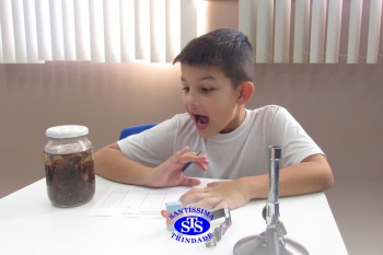 Alunos do 1º ano realizam atividades no Laboratório de Ciências
