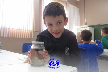 Alunos do 1º ano realizam atividades no Laboratório de Ciências