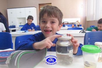 Alunos do 1º ano realizam atividades no Laboratório de Ciências