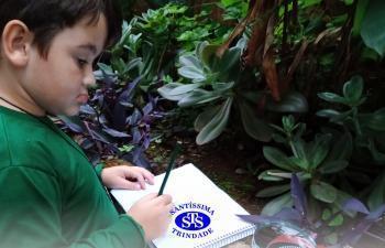 2º ano | Estudo de Plantas