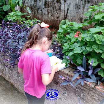 2º ano | Estudo de Plantas