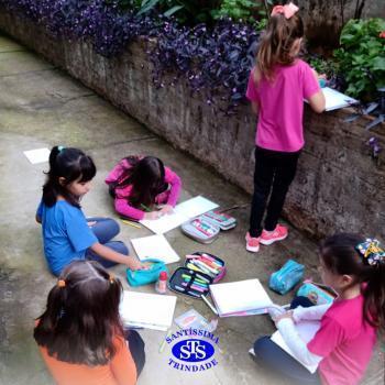 2º ano | Estudo de Plantas