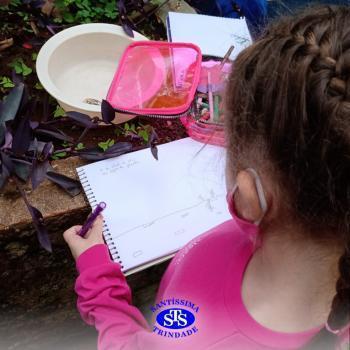 2º ano | Estudo de Plantas
