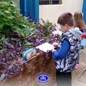 2º ano | Estudo de Plantas
