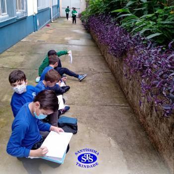2º ano | Estudo de Plantas