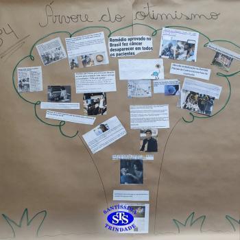 5º ano | Você conhece a “árvore do otimismo”?