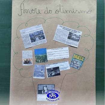 5º ano | Você conhece a “árvore do otimismo”?