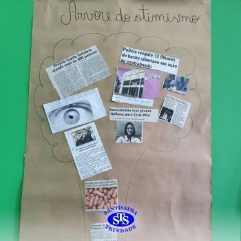 5º ano | Você conhece a “árvore do otimismo”?