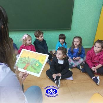 Dia Mundial do Meio Ambiente | Infantil 3 
