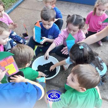 Dia Mundial do Meio Ambiente | Infantil 3 