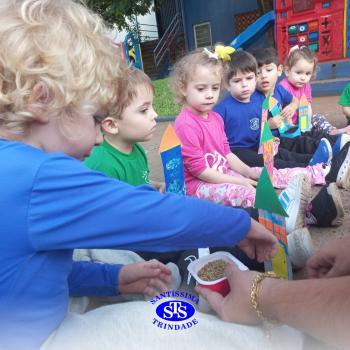 Dia Mundial do Meio Ambiente | Infantil 3 