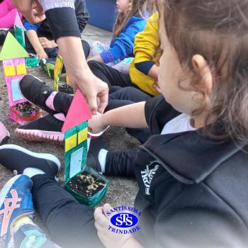 Dia Mundial do Meio Ambiente | Infantil 3 