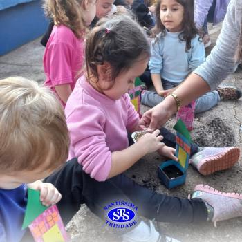 Dia Mundial do Meio Ambiente | Infantil 3 