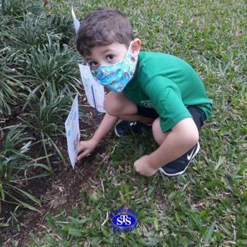 Cultive, cuide, queira bem: bom resultado vem - Infantil 5