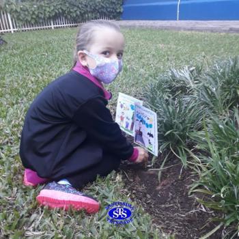 Cultive, cuide, queira bem: bom resultado vem - Infantil 5