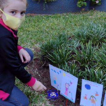 Cultive, cuide, queira bem: bom resultado vem - Infantil 5