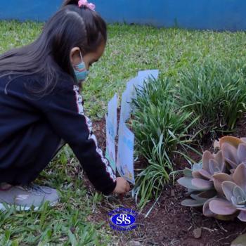 Cultive, cuide, queira bem: bom resultado vem - Infantil 5