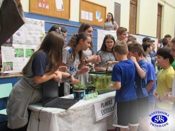 Feira de Ciências com alunos do 6º e 7º anos