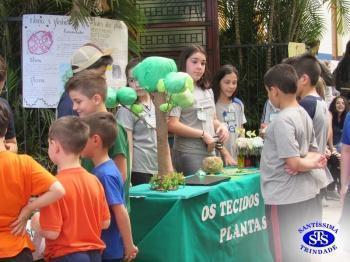 Feira de Ciências com alunos do 6º e 7º anos