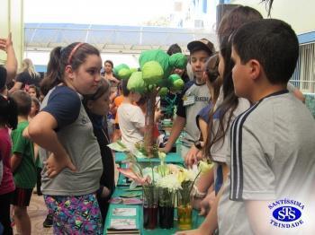 Feira de Ciências com alunos do 6º e 7º anos