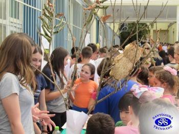 Feira de Ciências com alunos do 6º e 7º anos