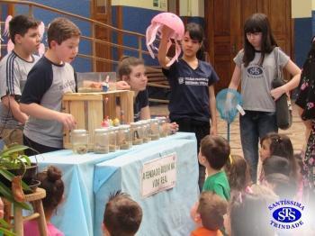 Feira de Ciências com alunos do 6º e 7º anos