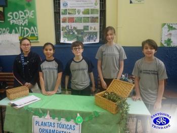 Feira de Ciências com alunos do 6º e 7º anos