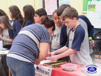 Feira de Ciências com alunos do 6º e 7º anos