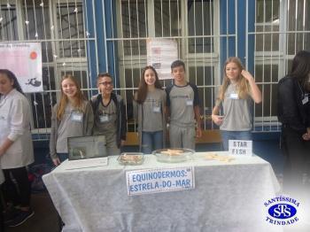 Feira de Ciências com alunos do 6º e 7º anos