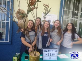 Feira de Ciências com alunos do 6º e 7º anos