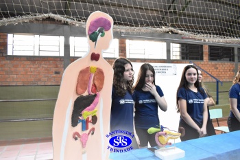 Estudantes colocam em prática seus conhecimentos na Feira de Ciências | 8º ano