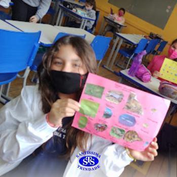 4º ano | Cadeia Alimentar 