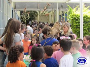 Feira de Ciências - 6º e 7º anos