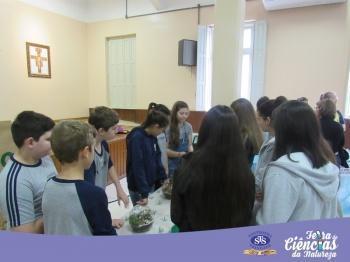 Feira de Ciências da Natureza - 6º e 7º ano