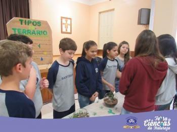 Feira de Ciências da Natureza - 6º e 7º ano