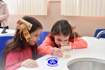 Educação Infantil