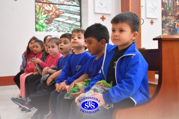 Educação Infantil