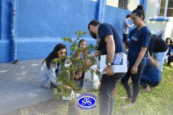 Amizade Social: cultivando vínculos plantando | Projeto de Vida e Ens. Religioso