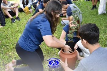 Amizade Social: cultivando vínculos plantando | Projeto de Vida e Ens. Religioso