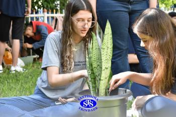 Amizade Social: cultivando vínculos plantando | Projeto de Vida e Ens. Religioso