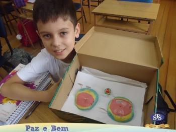 4º ano - Ciências 