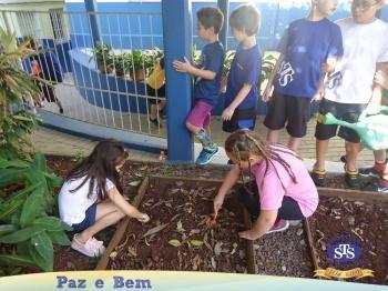 2º ano - Projeto Feijão