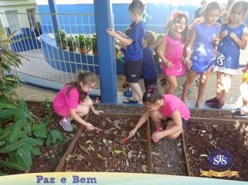 2º ano - Projeto Feijão