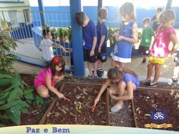 2º ano - Projeto Feijão