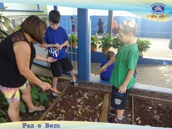 2º ano - Projeto Feijão