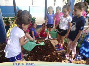 2º ano - Projeto Feijão